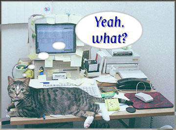 Me in my natural habitat...